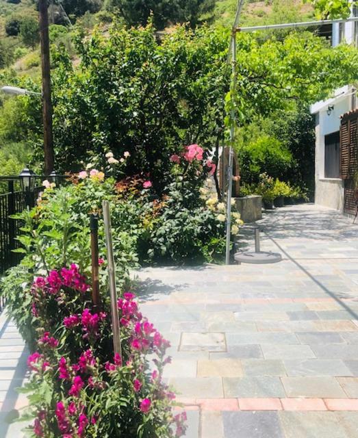 Galaria House Villa Mutulász Kültér fotó